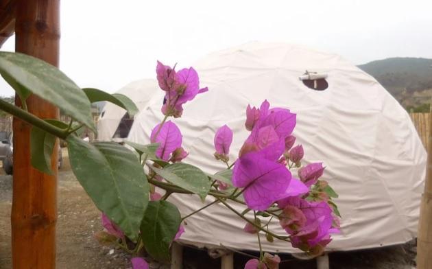 Nativa Whale Domes Hotel Puerto Lopez Exterior photo