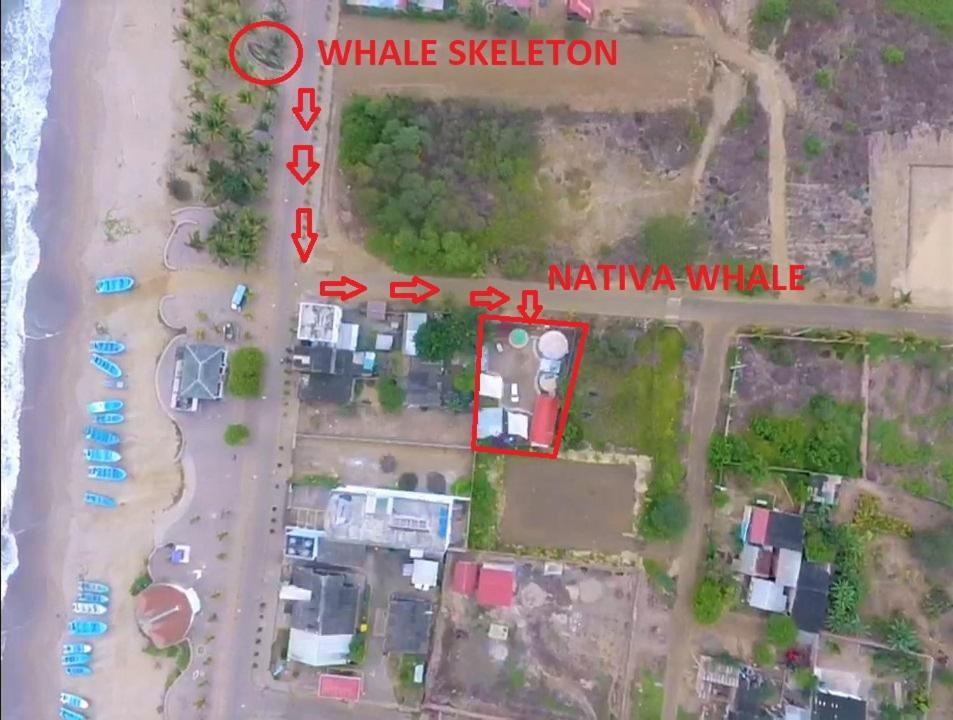 Nativa Whale Domes Hotel Puerto Lopez Exterior photo